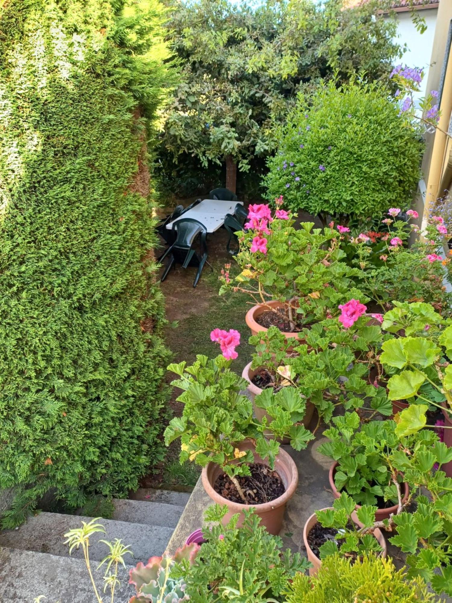 A Casa Da Piruleta Villa Bueu Eksteriør bilde