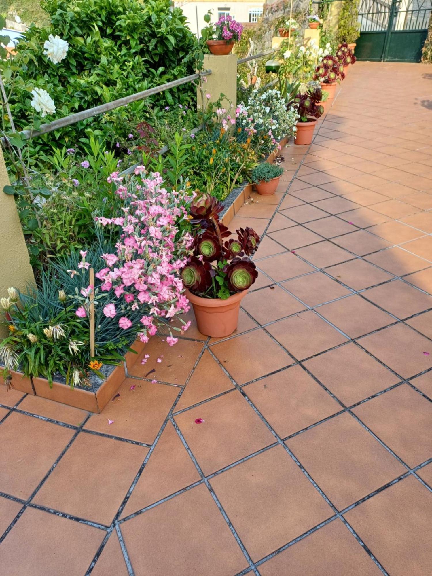 A Casa Da Piruleta Villa Bueu Eksteriør bilde