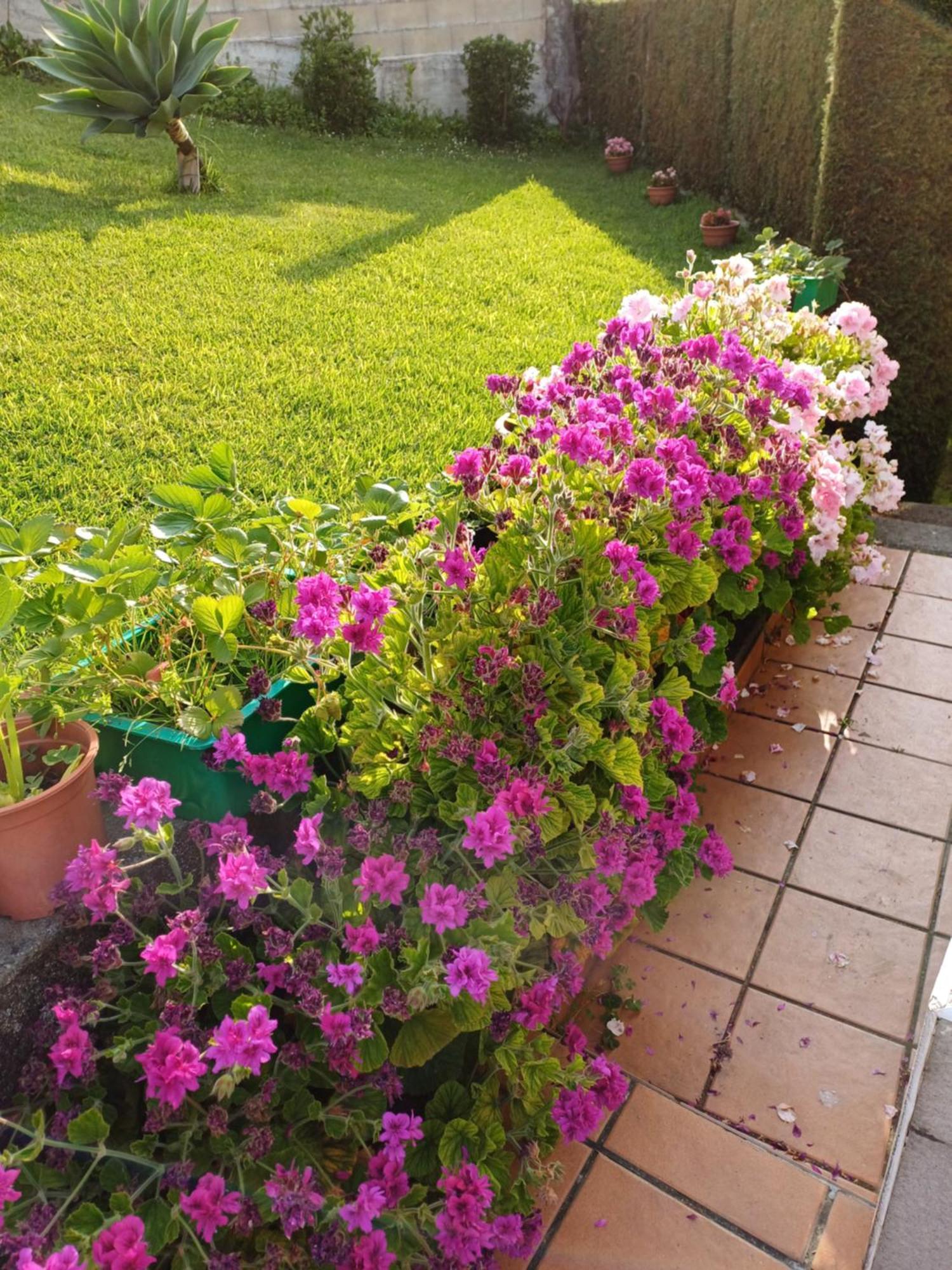 A Casa Da Piruleta Villa Bueu Eksteriør bilde